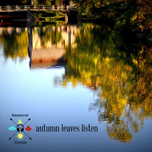 Seasonal Cycles - autumn leaves listen