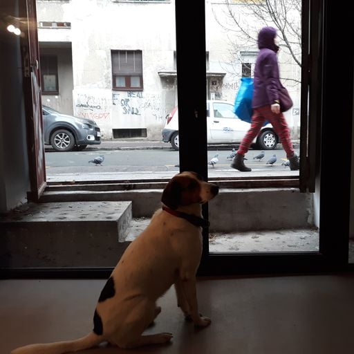 Jutarnja kafa na radiju