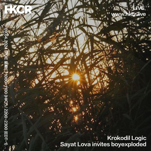 Krokodil Logic: Sayat Lova invites boyexploded - 09/04/2024