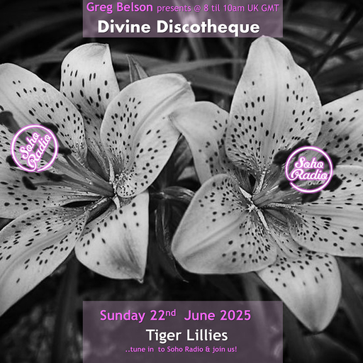 Greg Belson's Divine Discotheque - Tiger Lilies (22/06/2025)