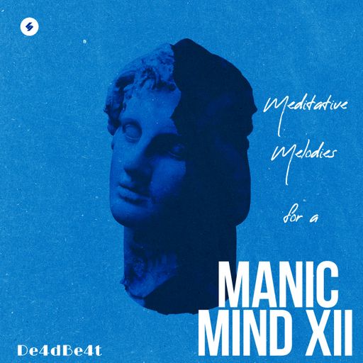 Manic Mind XII (Meditative Melodies for a)