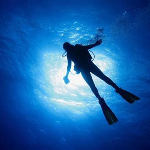 The Diver (ExtendedJazzFusion)