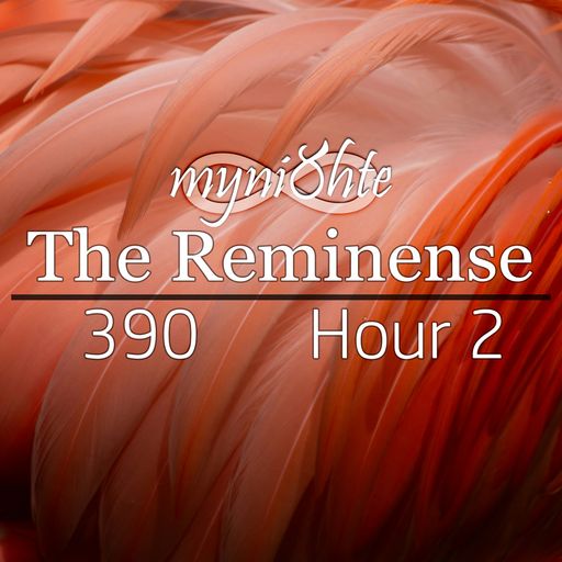 The Reminense 390 - Hour 2