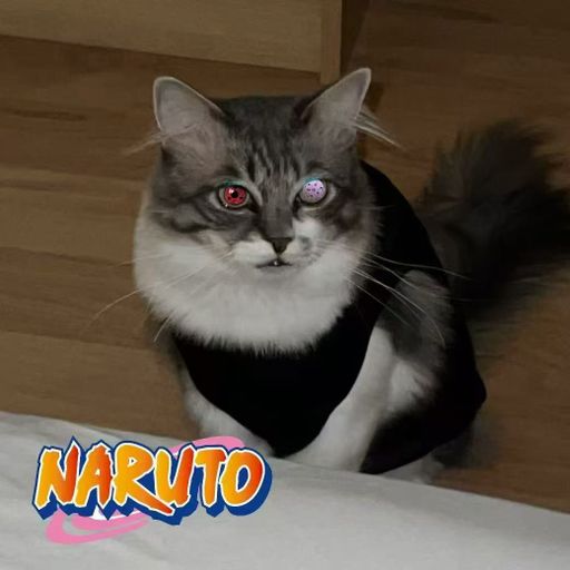 DJ'YE【峰 Private Mix'25】《抖音熱曲 - 嗨老友 X 抖音熱曲 - Gwaenchana X 陳雷 - 歡喜就好》Mixtape 2x25