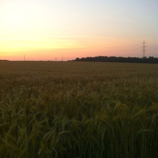 midsummer Mix