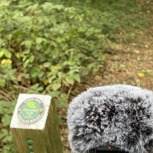 Connections to Sound #26 - 18 September 2025