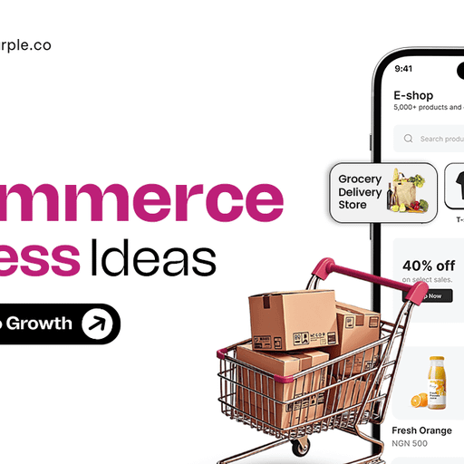 Top eCommerce Business Ideas With Higher Revenue Opportunities
