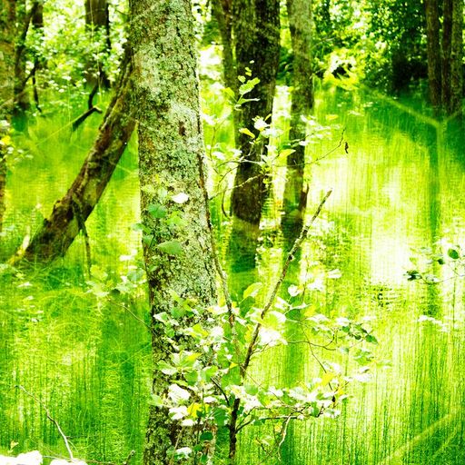 botanique w/ Robert Guthrie - 30th December 2025