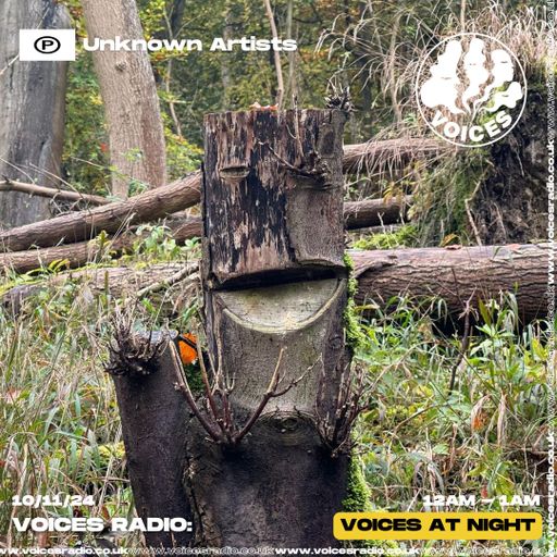 UNKNOWN ARTISTS - 10/11/24 - Voices Radio