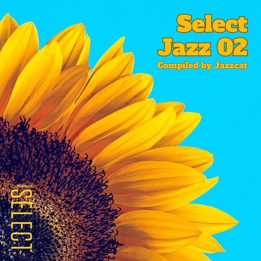 Select Jazz 02