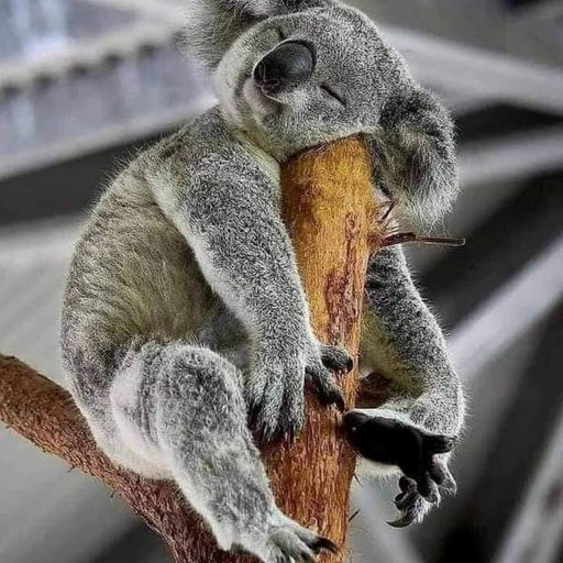 Steve Lewis Wednesday house session recorded live 11th September 2024