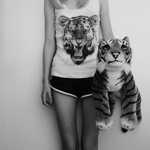 Gentle Roar Minimix