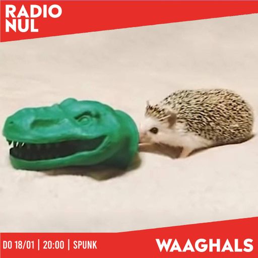 Interim Regime - Waaghals / 18-01-24