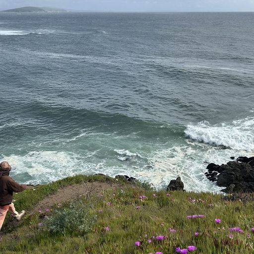 Bless You w/ Nacho Kenji - 30th December 2025