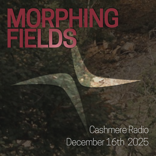 Cashmere Guest Mixes : Morphing Fields w/ Pauli403 16.12.2025