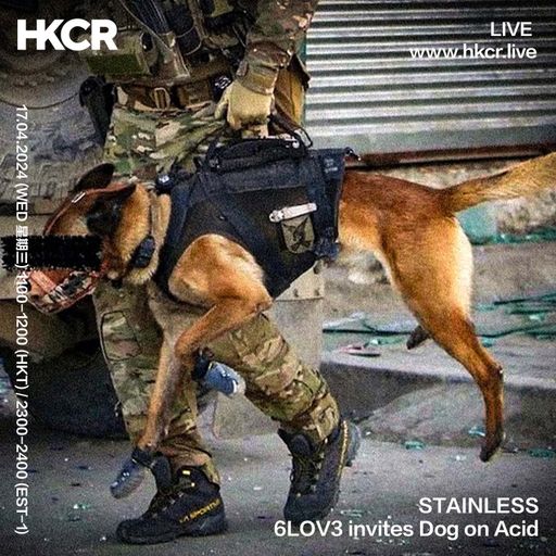 STAINLESS: 6LOV3 invites Dog on Acid - 17/04/2024