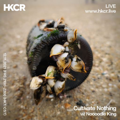 Cultivate Nothing w/ Noooodle King - 12/11/2021
