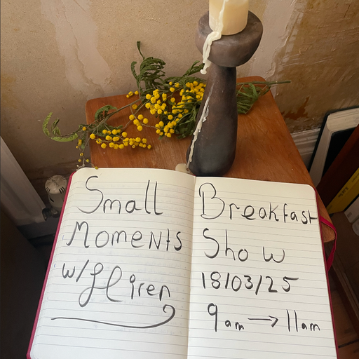 Small Moments w/ Hiren: Culture Building, Experimental Clubs & Field Recording 18/03/25 Voices Radio