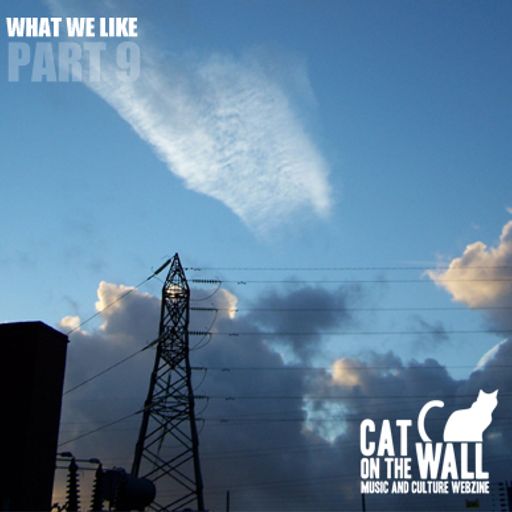 What We Like Part 9