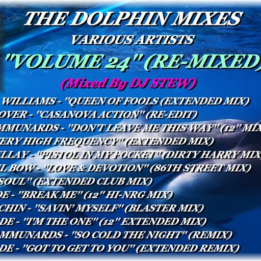 THE DOLPHIN MIXES - VARIOUS ARTISTS - ''VOLUME 24'' (RE-MIXED)