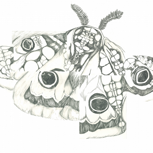 Agata Genissel - 14th April 2026