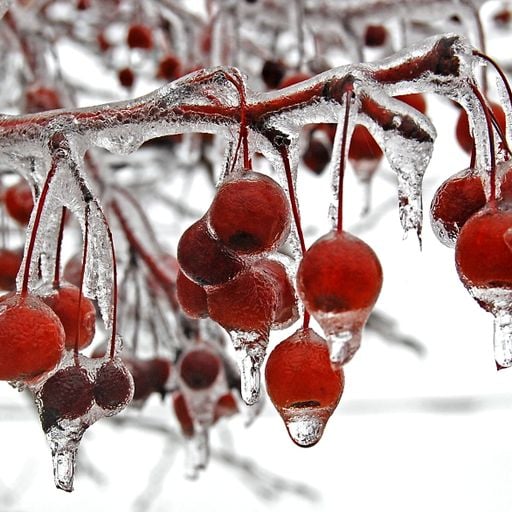 Gistro FM 803 (23/01/22) Life Is Just a Bowl of Cherries