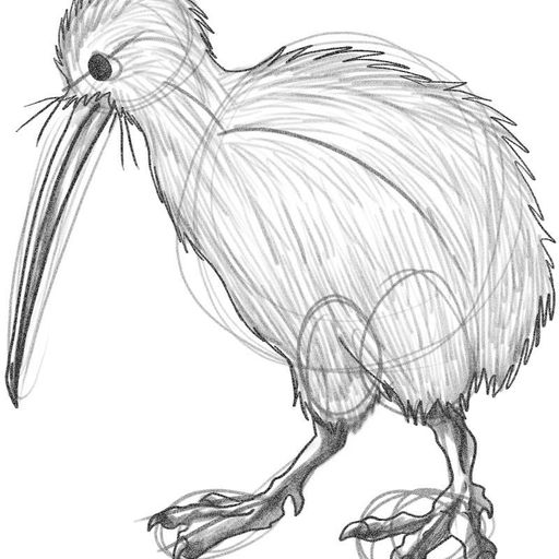 New Zealand Music Show 26/8