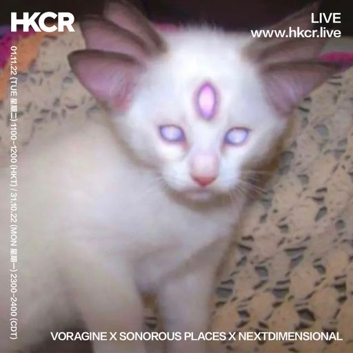 VORAGINE X SONOROUS PLACES X NEXTDIMENSIONAL - 01/11/2022