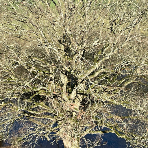 Emergence w/dtyb - 03/03/24 [Voices Radio]