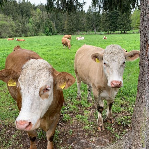 Kruder & Dorfmeister // 26-06-21