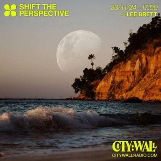 Shift The Perspective w/ Lee Brett - November 2024