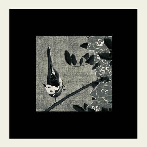 Hooley - An Hour of Susumu Yokota (ambient)- July 2023