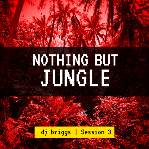Nothing But Jungle Session 3 - Dj Briggs