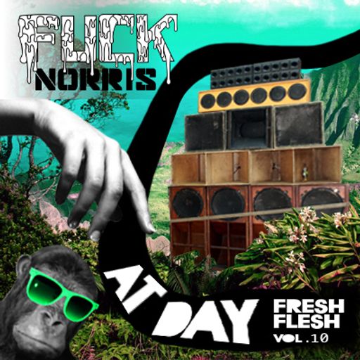 FUCK NORRIS at day (fresh flesh vol.10)
