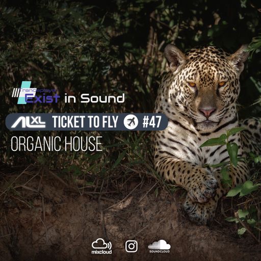TICKET TO FLY #47 MARCH 2023 (Organic House) EXCLUSIVE for EXIST IN SOUND (US)