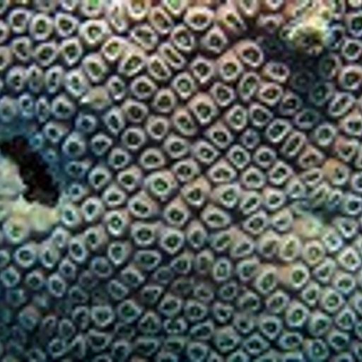 Surface Detail (NotSoEasyListening)