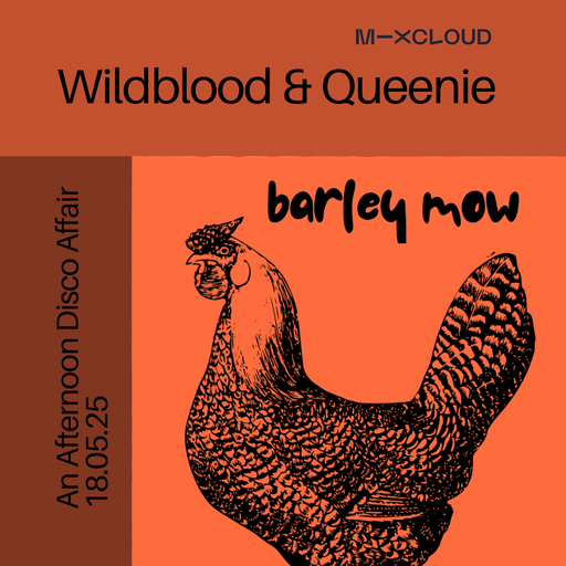 Wildblood and Queenie: An Afternoon Disco Affair at The Barley Mow 18.05.25