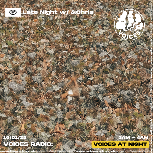 Late night w/ &Chris 16/01/25 - Voices Radio