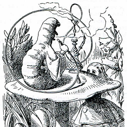 BUREAU OF LOST CULTURE - Myths of the Magic Mushroom (29/03/2025)