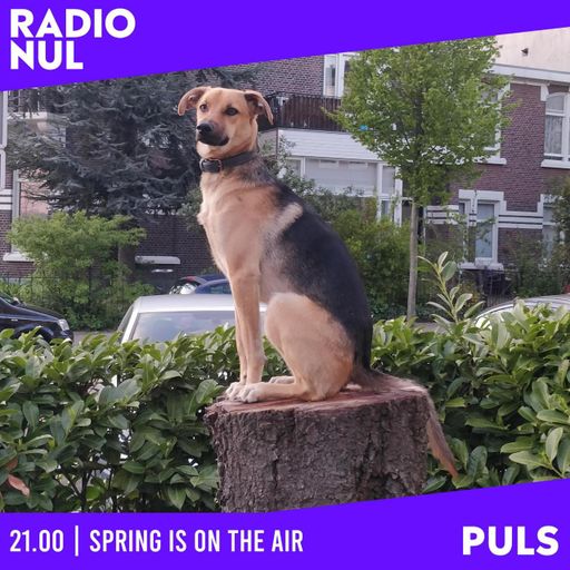 Spring is on the air - ZiM K'tomo / 14-05-2024