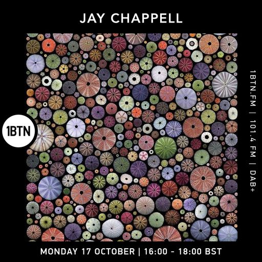 Jay Chappell - 17.10.2022