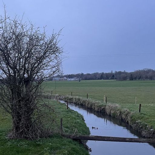 The Slip - 9th March 2025