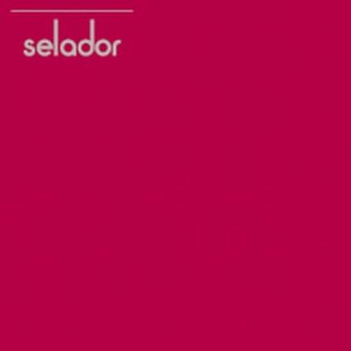 Selador Sessions April 2015 Steve Parry - Frisky Radio