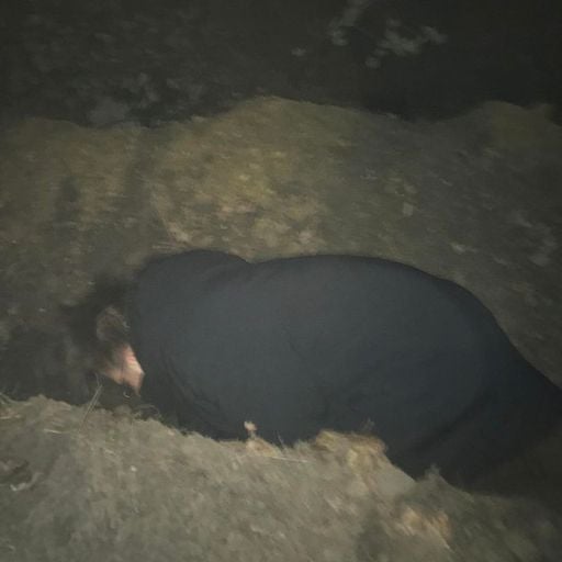 Usual Subjects w/ Xamille  - 25th April 2026