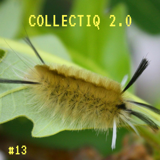 Collectiq 2.0 #13: Does the word duh mean anything to you?