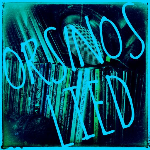 Orsinos Lied November 2024