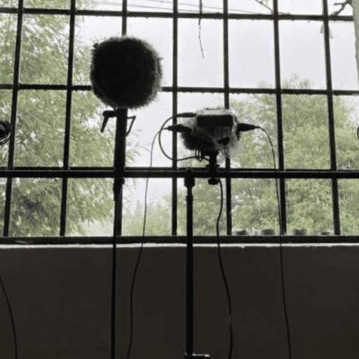 Live from De Bosbar: Tune In / Tune Out for WAV | 05-02-25