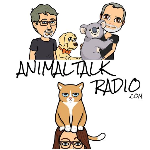 Animal Talk - Good Luck Black Cat - Episode 84