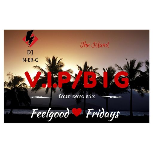DJ N-er-G: V.I.P./B I G