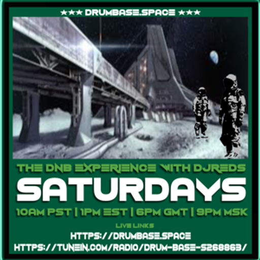 the dnb experience 260119
